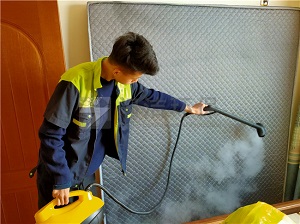 河套中筑藍(lán)灣甲醛治理